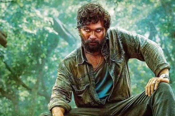 pushpa box office collection