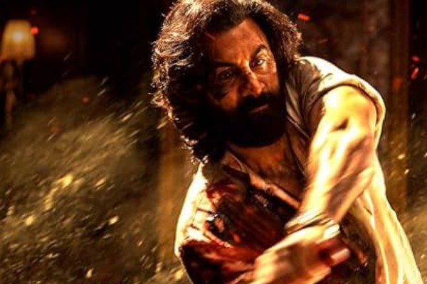 animal box office collection