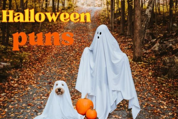 halloween puns